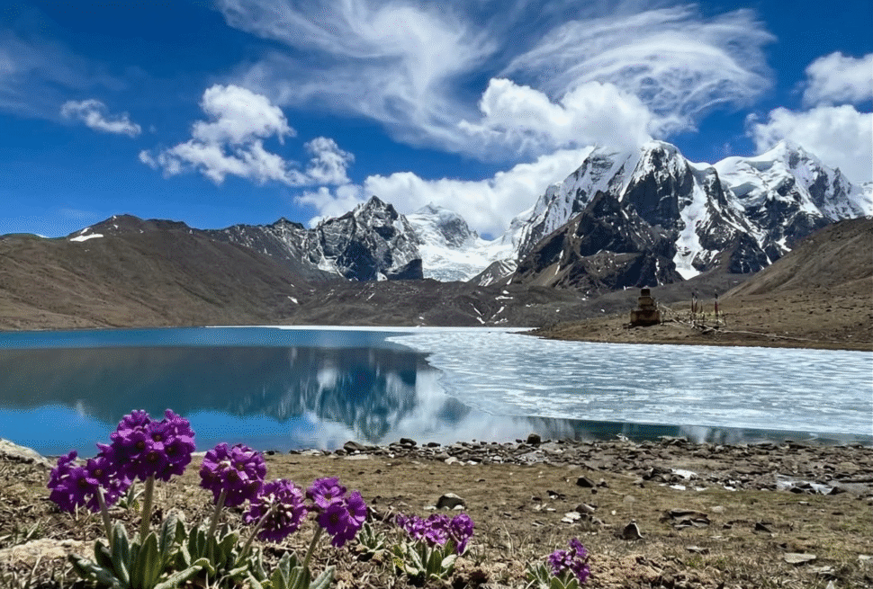 North Sikkim Spring Tour- AI
