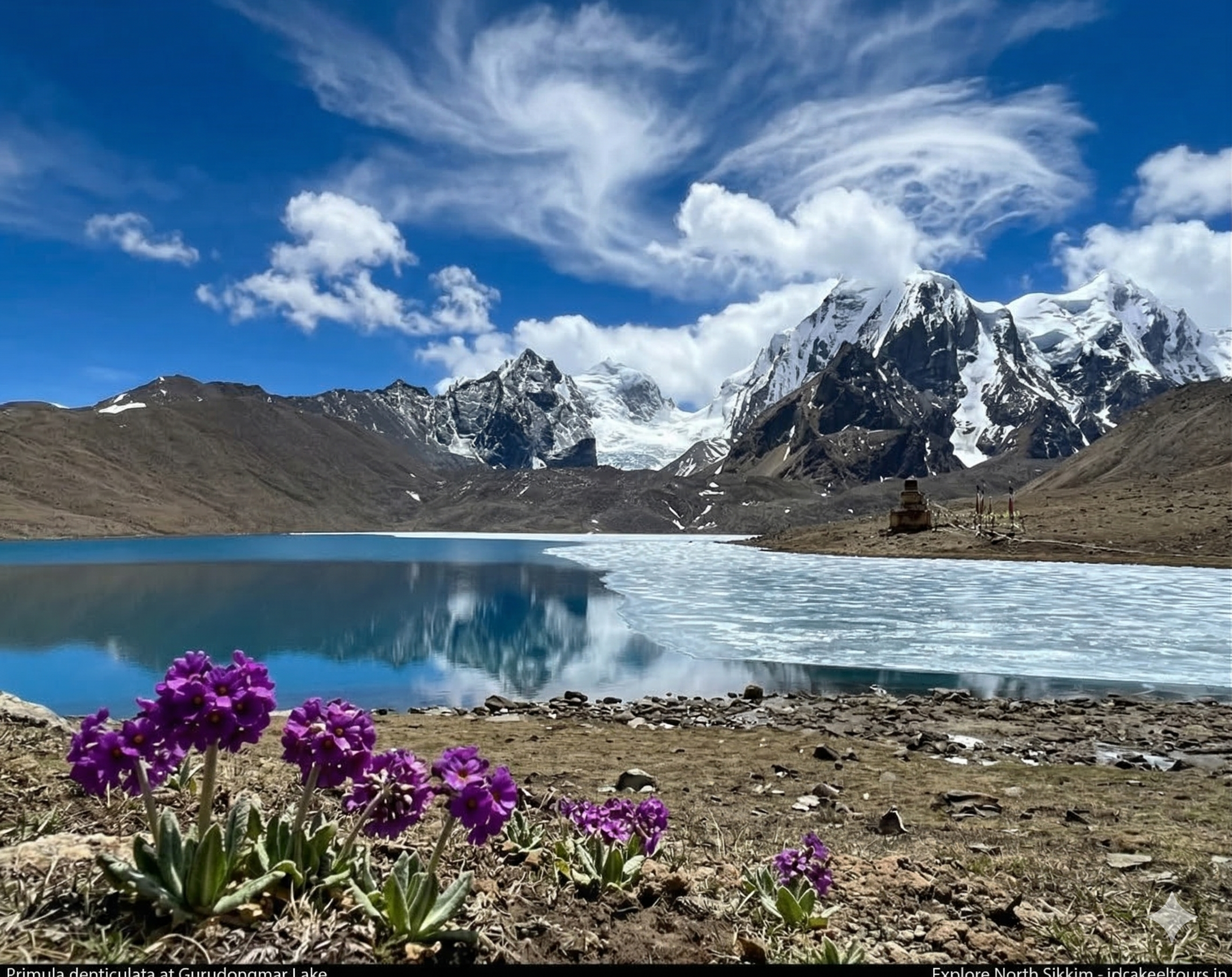 North Sikkim Spring Tour- AI
