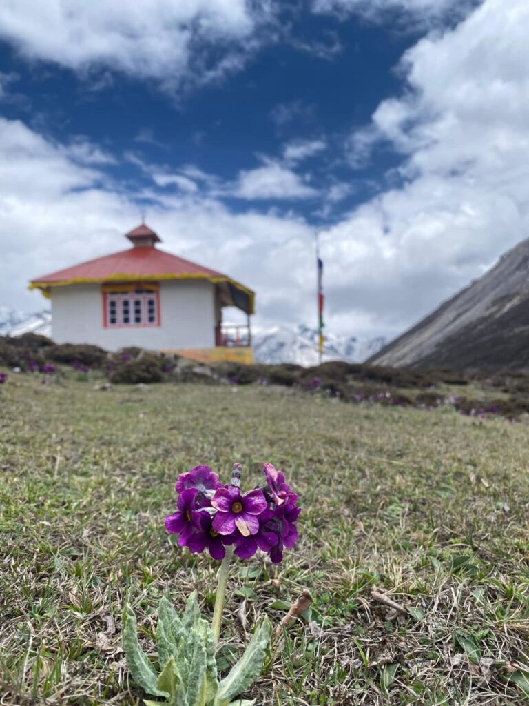 Yumesamdong Hotspring